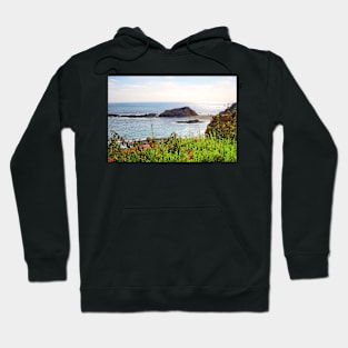 Just Another Montage Day At The Beach Hoodie